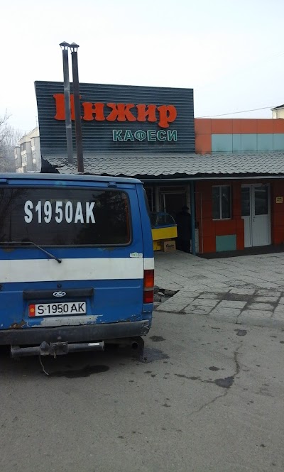 Photos of Inzhir