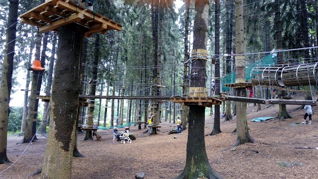 Jungle Raider Park