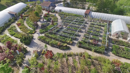 Oceanview Home and Garden
