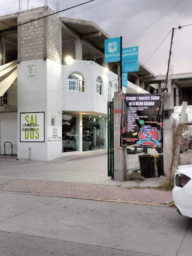 La viga Tequix