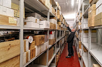 La Cave Lyon à Lyon