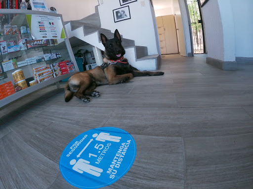 RealVet Clínica Veterinaria