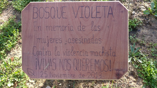 Bosque Violeta - Thumbnail