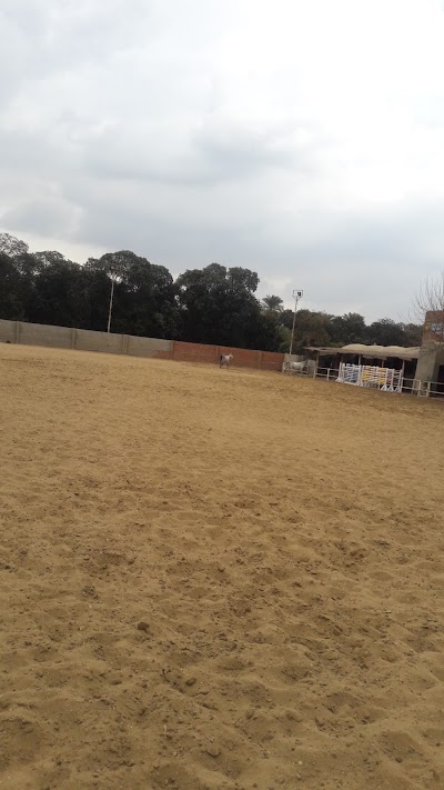 Photos of Dondon Park