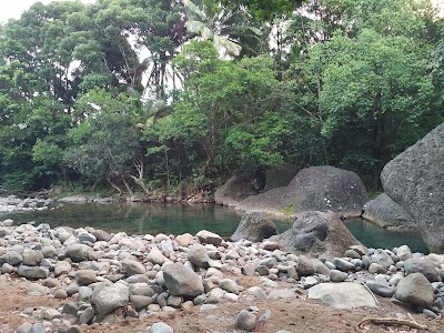 Photos of Central Forest Reserve