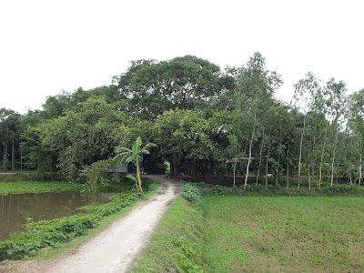 Photos of Battala Kali Mandir