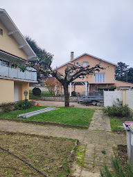 Photo n°21 de Mejan élagage à Villeurbanne (Paysagiste)