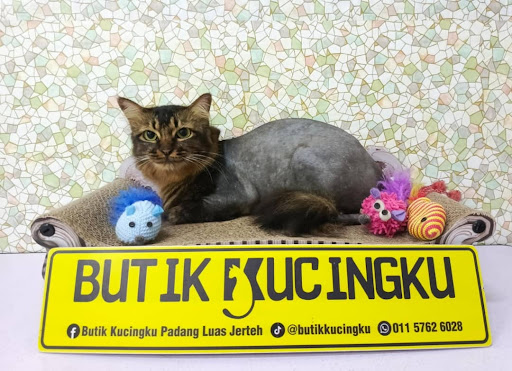 Butik Kucingku (Padang Luas)