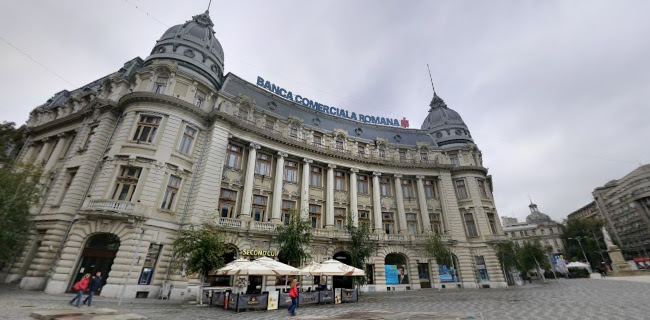 Universitatea din București - București