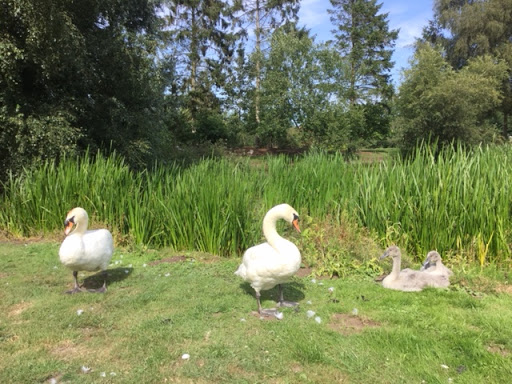 Mill Farm Camping - Thumbnail