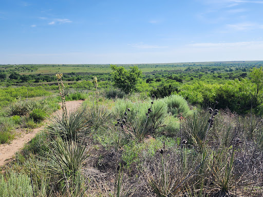 Rest Area (Hedley TX) - Thumbnail
