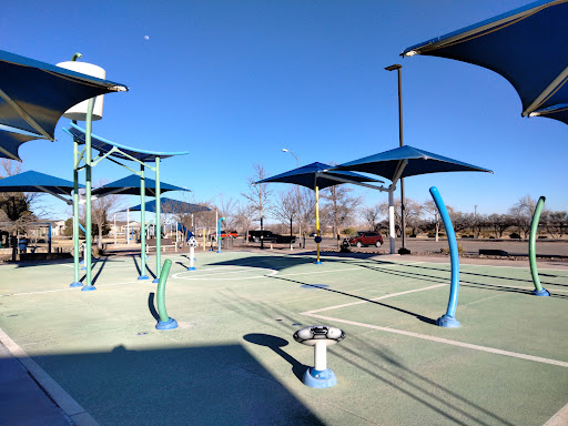Sue Young Park - Thumbnail