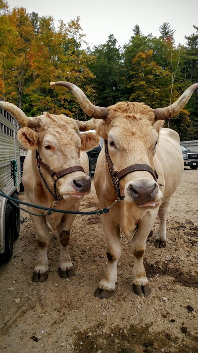 Photos of Warner Fall Foliage Festival