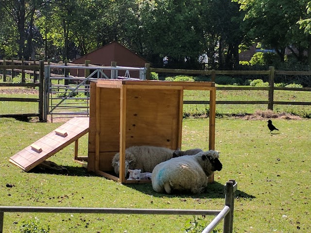 Hackney City Farm