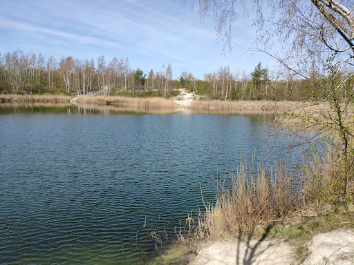 Teiche bei Lieskau