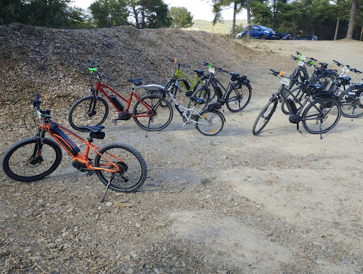 Stations Bee's Bicycle Electrical - Verdon - Thumbnail