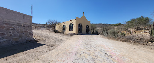 Pie de dios - Visual