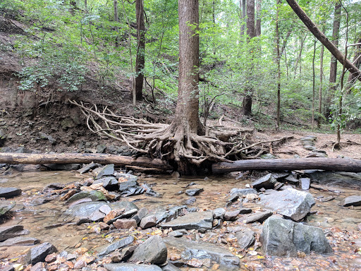 Donaldson Run Park Gallery - United States
