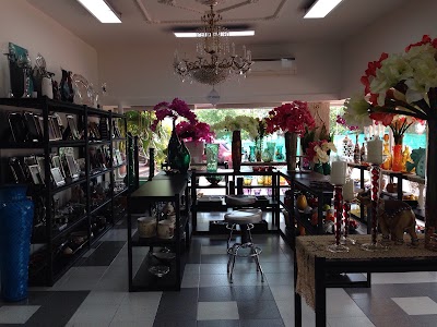 Photos of PUYANA Ltda