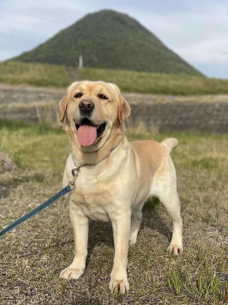 丸亀警察犬訓練所
