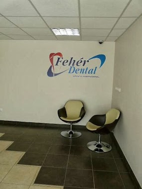 Fehér Dental, Author: Fehér Dental