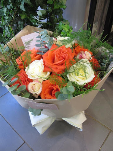 10 Bd Léon Jean Grégory, 66300 Thuir