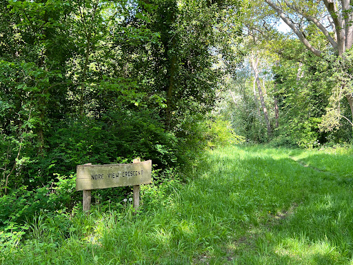 Marks Hill - Visual