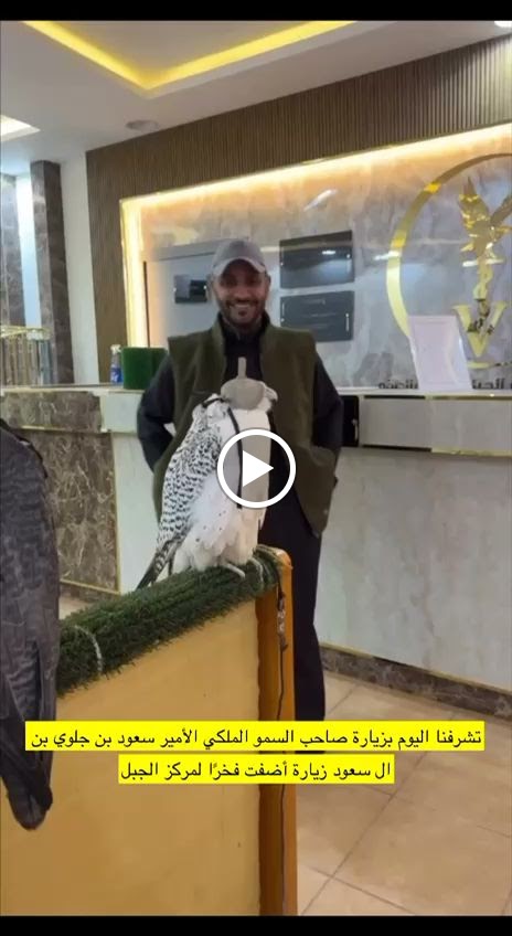 مركز الجبل للعناية بالصقور - صورة 2