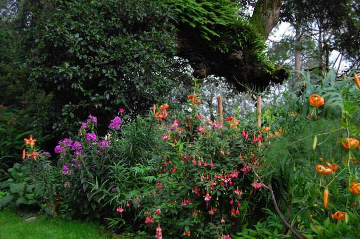 Sunnymead Estate by null