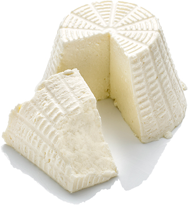 ファットリアビオ北海道 円山店