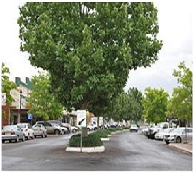 Coolah Valley Motoring Enthusiasts - Thumbnail