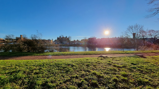Rävspelet - Visual