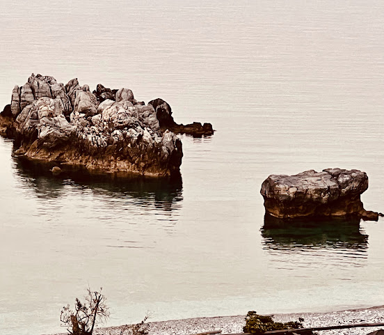 Palia damouchari by null