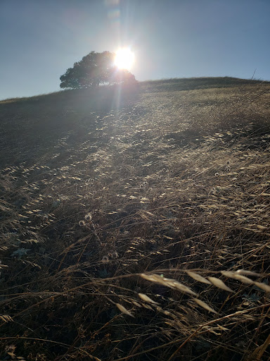 Coronado Canyon Trailhead