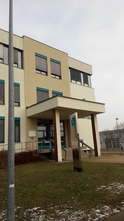 university