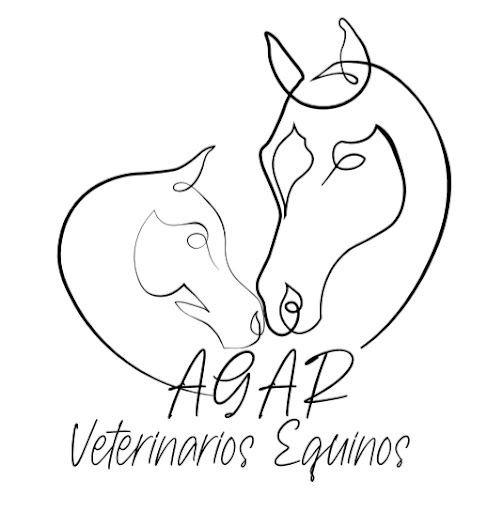 AGAR Veterinarios Equinos