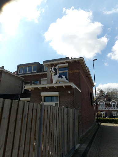 Waalwijk, De Els Gallery - Netherlands