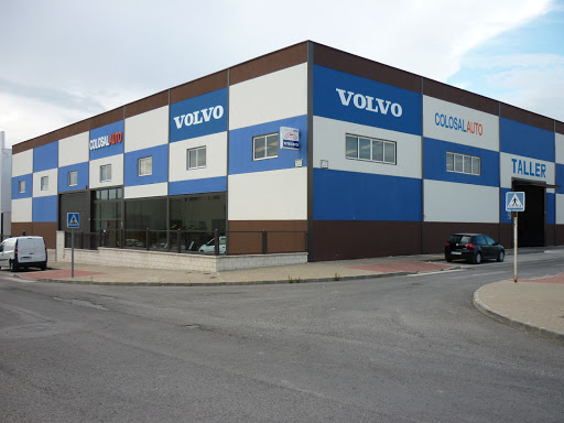 Colosal Auto - Visual
