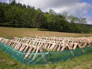 Photo n°2 de Escargots St Félicien à Saint-Félicien (Ferme)
