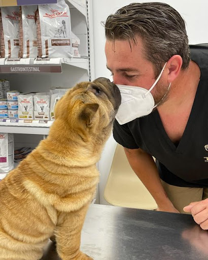TIVET clínica Veterinaria