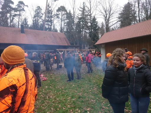 Staatl. Forstrevier Wielandsweiler - Thumbnail