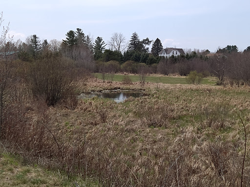 White Pine Trail Parking - Cadillac - Thumbnail