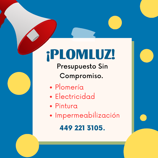Plomluz - Visual