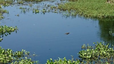 Bayou Sauvage National Wildlife Refuge