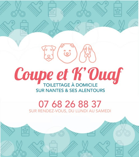 Coupe et K'Ouaf - Toilettage à domicile Nantes