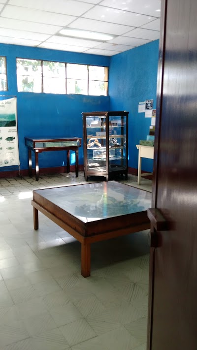 Photos of Museo de Historia Natural USAC
