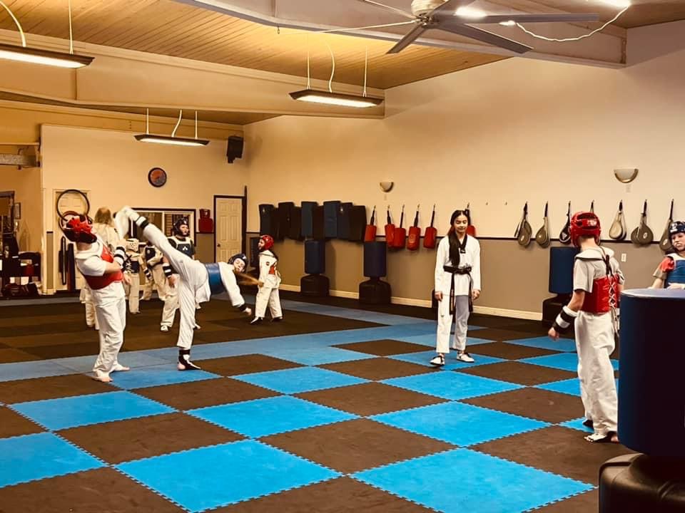 Shiba Taekwondo photo 5