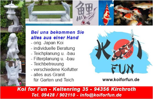 Koi for Fun - Visual