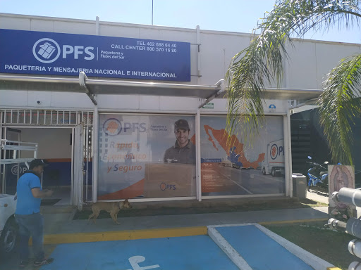 PFS Paquetería y fletes del sur Irapuato - Thumbnail