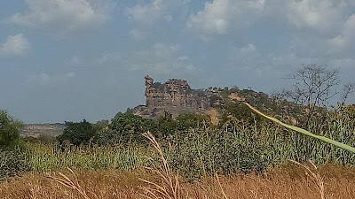Photos of Arli National Park